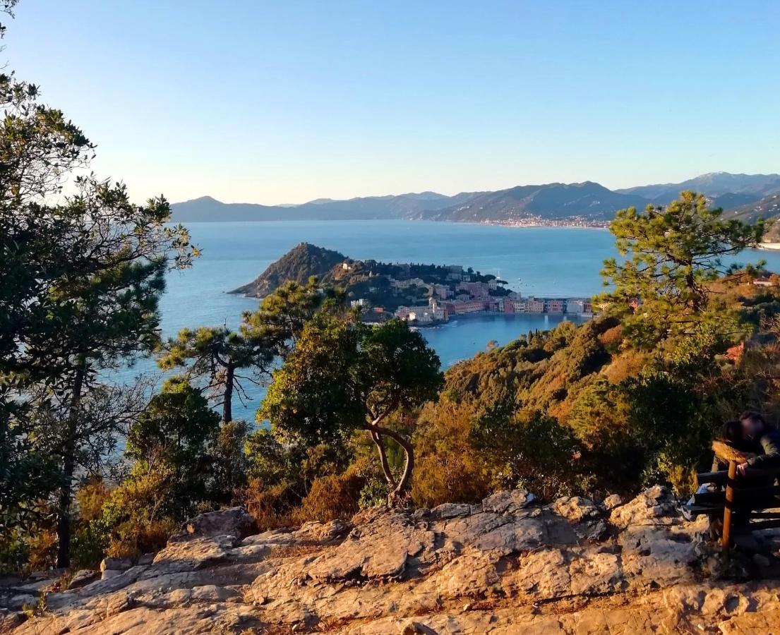 Hotel Sereno Sestri Levante Eksteriør billede